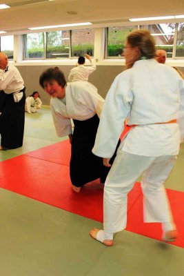 Aikido (72).jpg