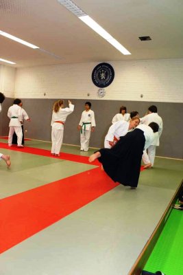 Aikido (76).jpg