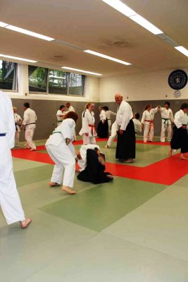 Aikido (77).jpg