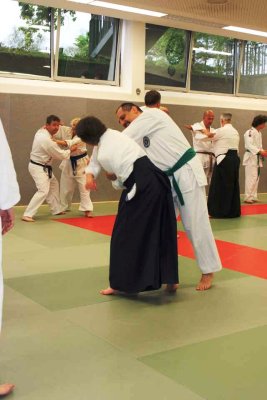 Aikido (90).jpg