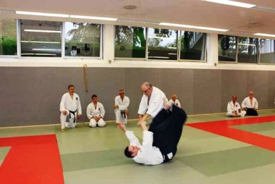 aikido_2012