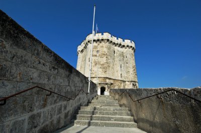 DSC_0098