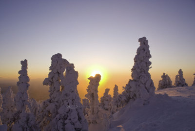 010-20100122.487.jpg