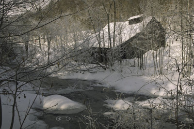 IMG0001.jpg