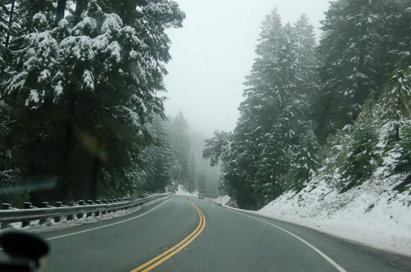 CAL199_EB_2.21.12