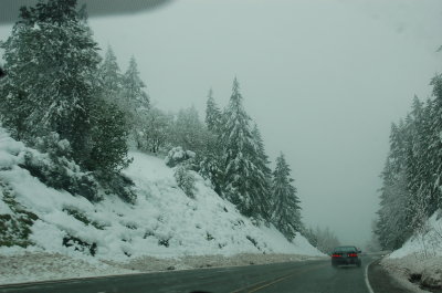 Ore199_EB_12.21.12
