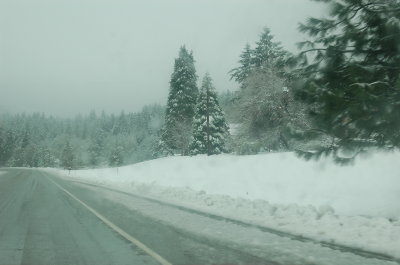 Ore199_WB_12.23.12
