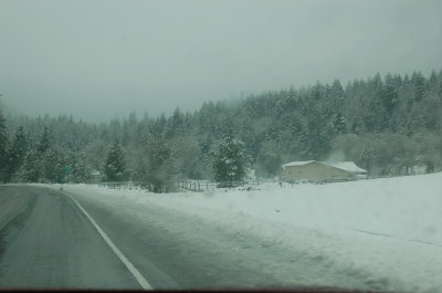 Ore199_WB_12.23.12
