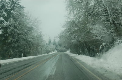 Ore199_WB_12.23.12