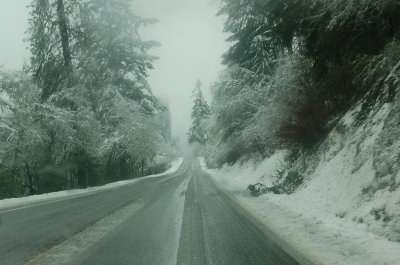 Ore199_WB_12.23.12