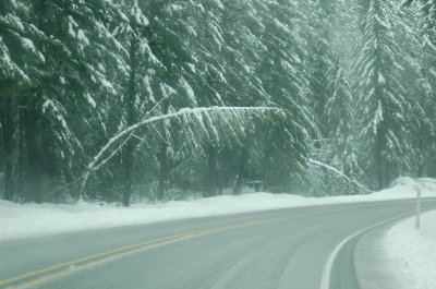 Ore199_WB_12.23.12
