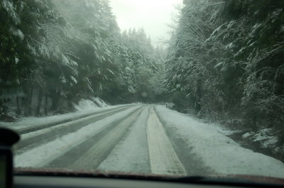 Ore199_WB_12.23.12
