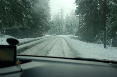 Ore199_WB_12.23.12