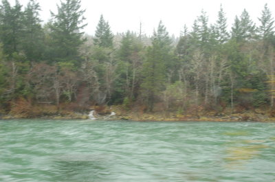 CaL 199_WB_12.23.12