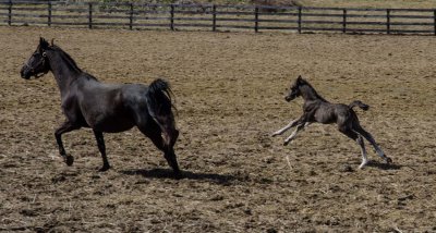 DSC_0490.jpg