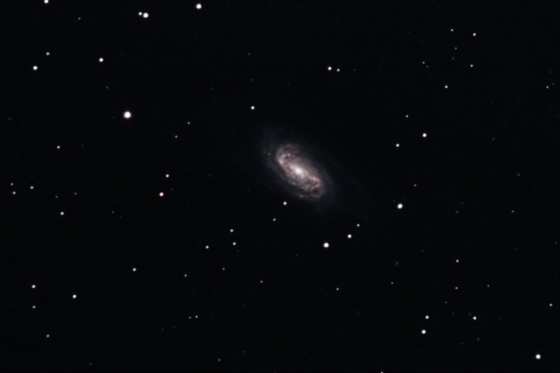 NGC 2903 in Leo