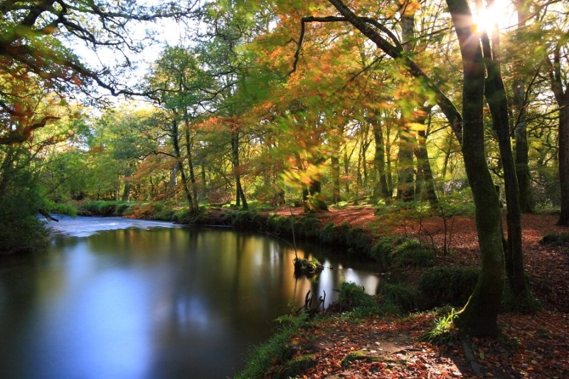 River Fowey at Respryn