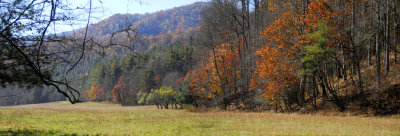 Cataloochee, Great Smoky Mountain National Park