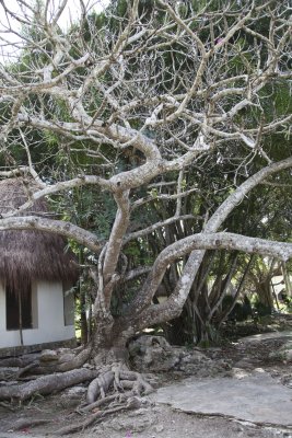 1201 CHICHEN ITZA