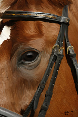 Horse Head