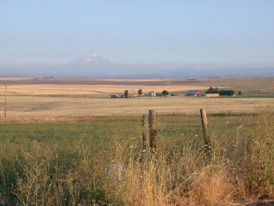 DSCN6864.jpg
