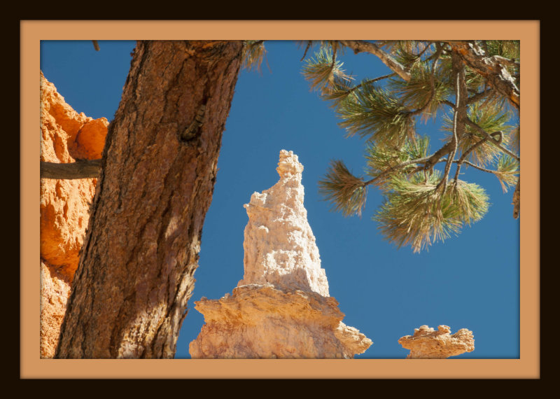 Bryce Canyon: Queen Victoria Hoodoo
