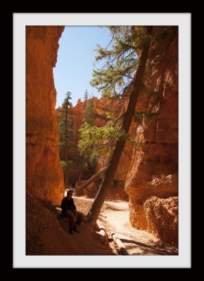 Bryce Canyon National Park Revisited: Chapter 1
