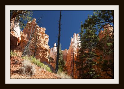 Bryce Canyon National Park Revisited: Chapter 2