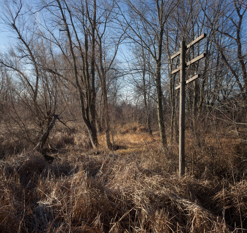 Edge of the Marsh 