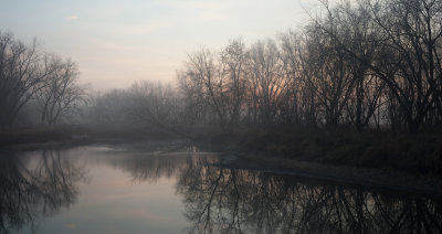 Fog at Dawn 