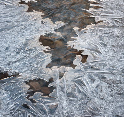 Thin Ice at a Shallow Stream 