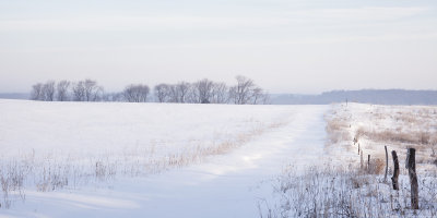 Field of Snow at Daybreak 