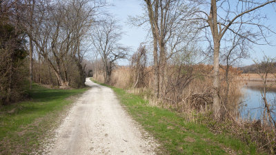 Towpath Turns 