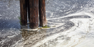 Old Pilings and Surface Scum 