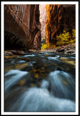 Autumn in the Narrows