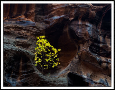 A Rocky Existence