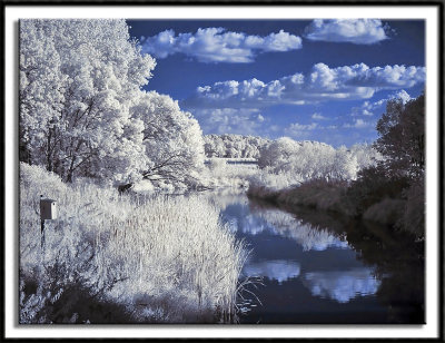 Rice Creek Reflection