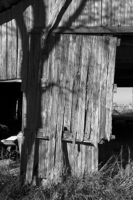 barn door.jpg