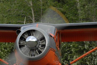 DHC-2 Beaver, Alaska