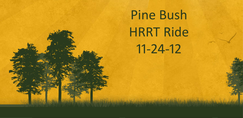 pine bush.jpg