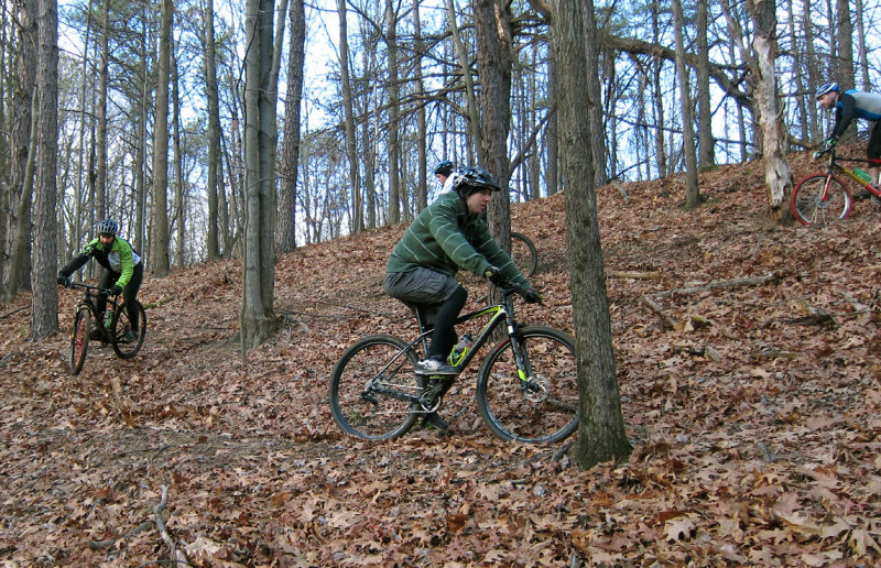 IMG_2577dps 800h.jpg