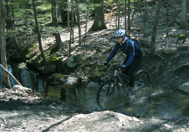 IMG_8075ps PF 800h.jpg