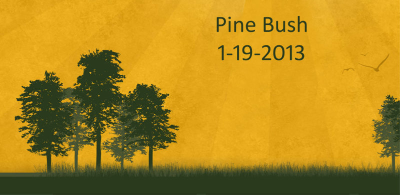 pine bush 1-19-13.jpg