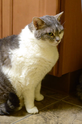 Sugar - hanging out