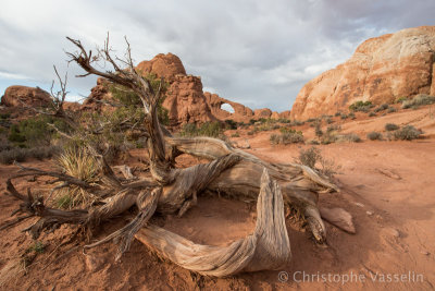 Skyline Arch