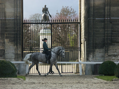 CHEVAL A L'ENTRAINEMENT DEVANT LA STATUE EQUESTRE DU DUC D'AUMALE