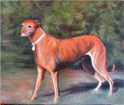 Portrait of Bobo