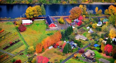 Autumn Colors Along Snoqualmie River Valley, Fall City, Washington  