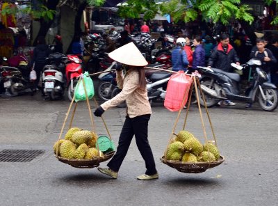 Durien street vendor, Hanoi, Vietnam  