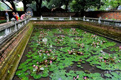 Lotus pond, Temple of Literature, Hanoi, Vietnam   